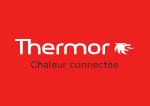 Anthelec Electricien Deauville Thermor 1