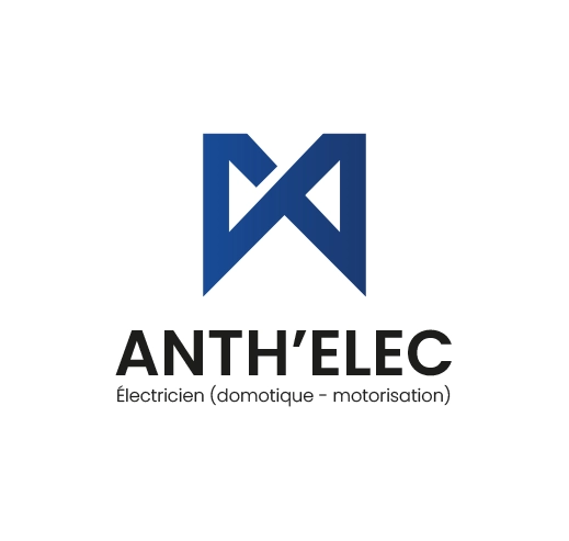 Anthelec Electricien Deauville Petite